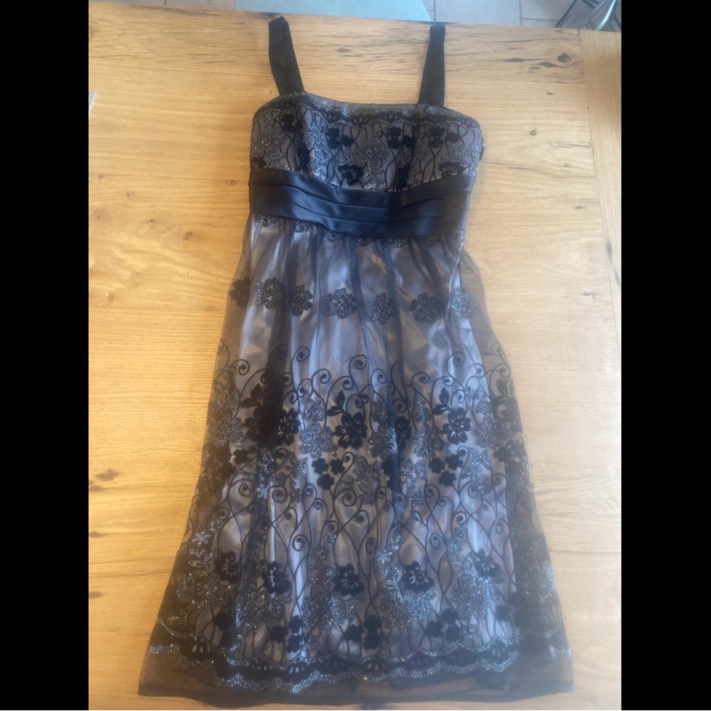 R&M Richard’s Sheer Lace‎ Sleeveless Knee Length Dress Black Women’s 8 Preloved